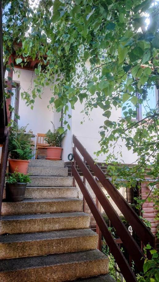 Apartmany u Jezera Frymburk Exteriér fotografie